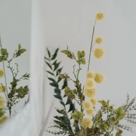 Wohnoffice Mit Uebernachtungsmoeglichkeit Residenz Manzell Kiba 24