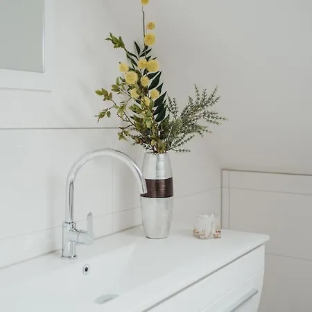 公寓 Wohnoffice Mit Uebernachtungsmoeglichkeit Residenz Manzell Kiba 24 腓特烈港