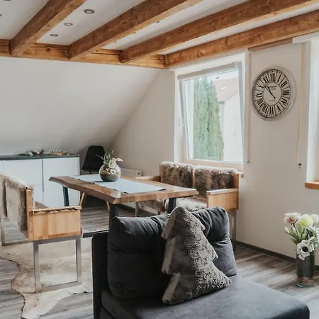 Wohnoffice Mit Uebernachtungsmoeglichkeit Residenz Manzell Kiba 24 公寓 腓特烈港